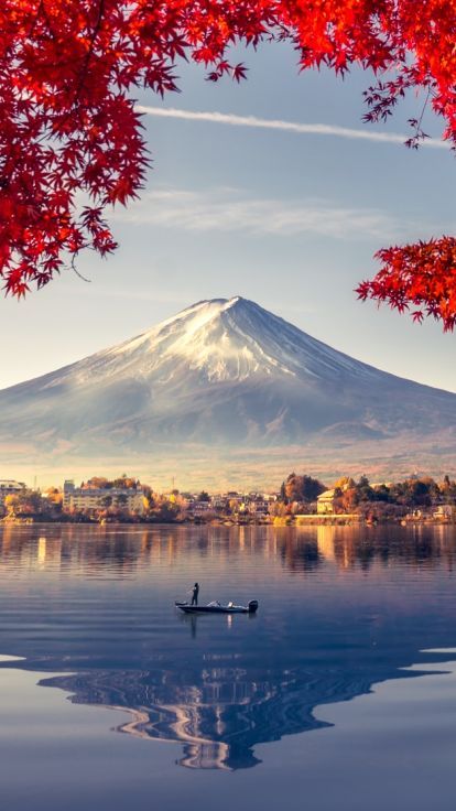Japan network