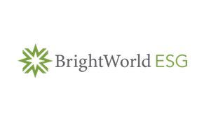 BrightWorld ESG 291x173.jpg