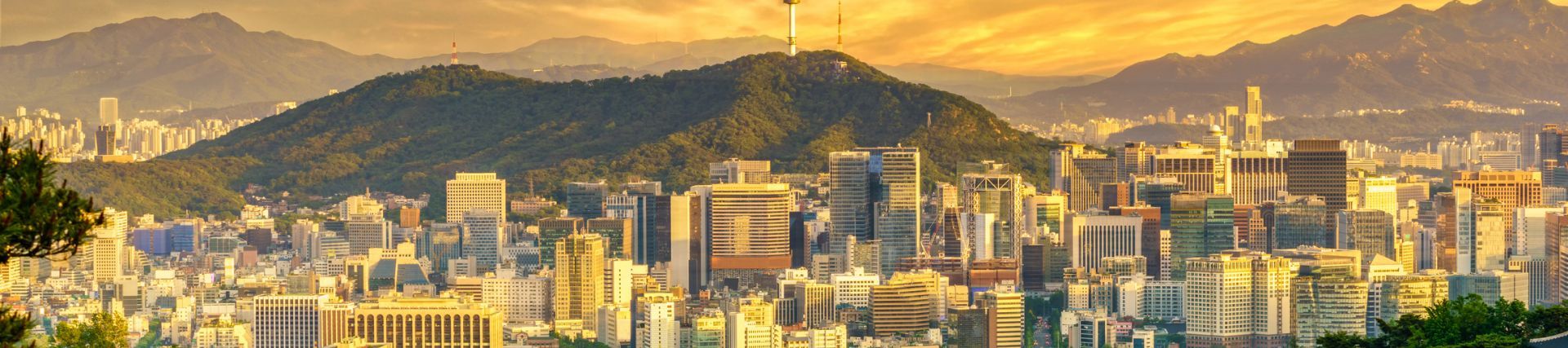 Seoul Skyline